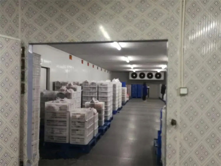 图为申博官网工程建造的冷库